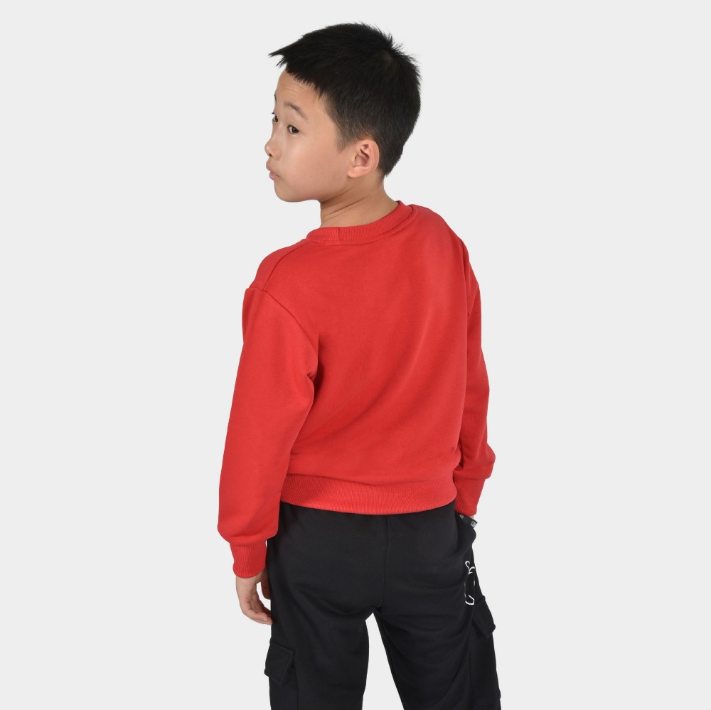 Kids' Sweatshirt Build Your Legacy | ANTETOKOUNBROS | Red Back