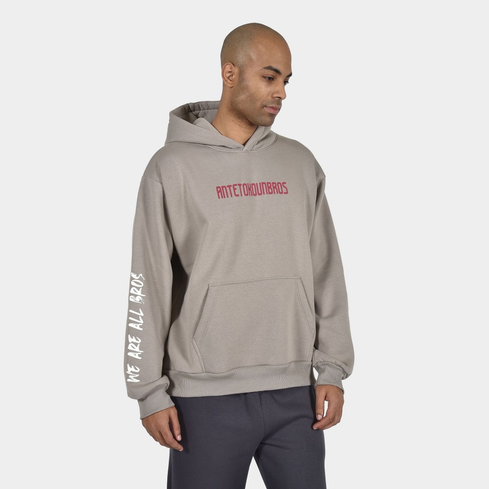 ANTETOKOUNBROS Unisex Φούτερ με Κουκούλα Feelfall Grey Rock Front 1