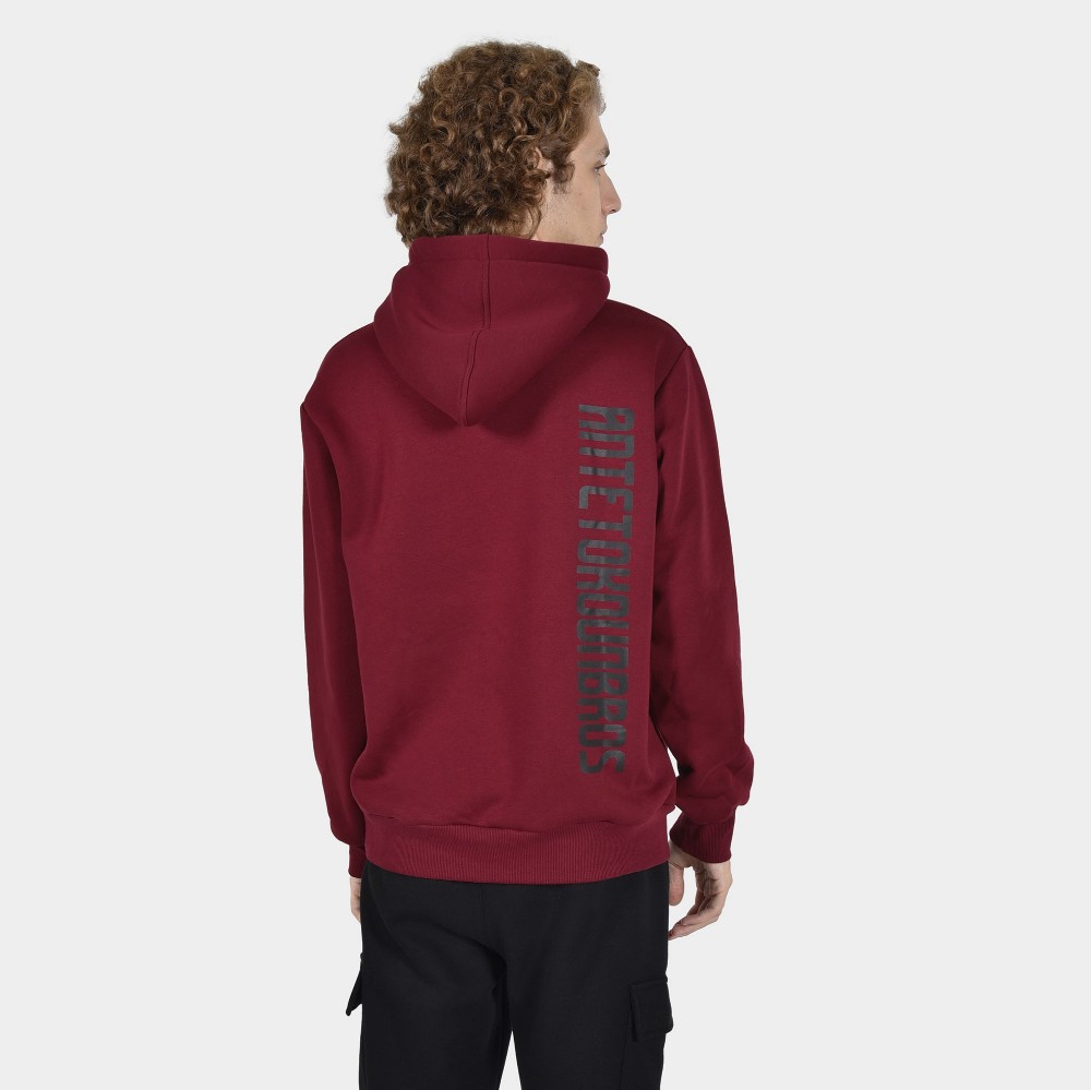 ANTETOKOUNBROS Men's Hoodie Colormaniac Vertical Bordeaux Back 1