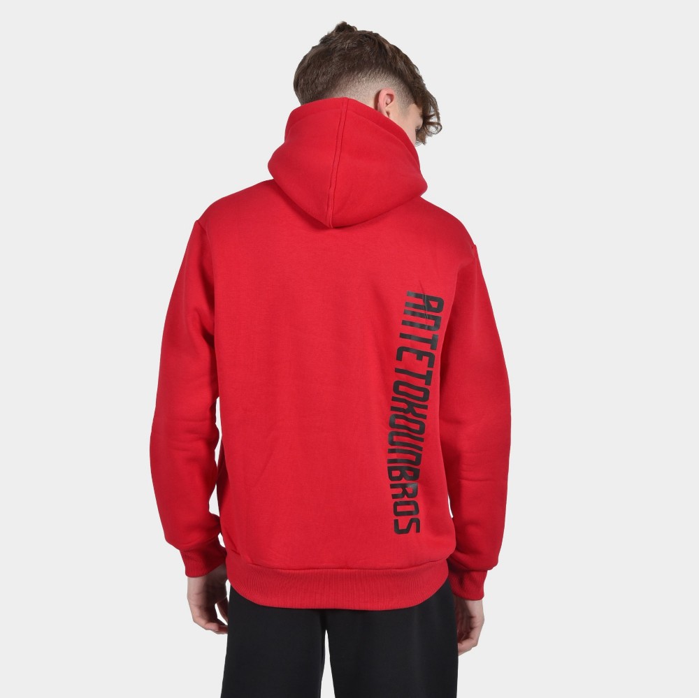 ANTETOKOUNBROS Kids' Hoodie Colormaniac Vertical Red Back 1