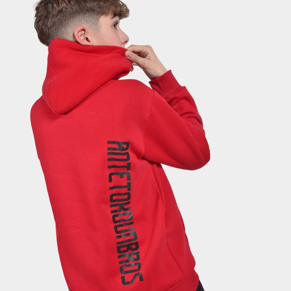 ANTETOKOUNBROS Kids' Hoodie Colormaniac Vertical Red Detail 1