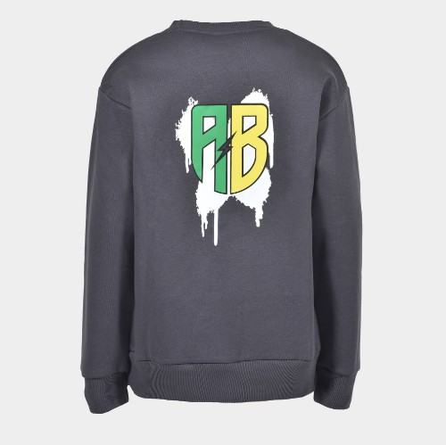 Kids' Sweatshirt Trip in Grey Mouse | ANTETOKOUNBROS | Back