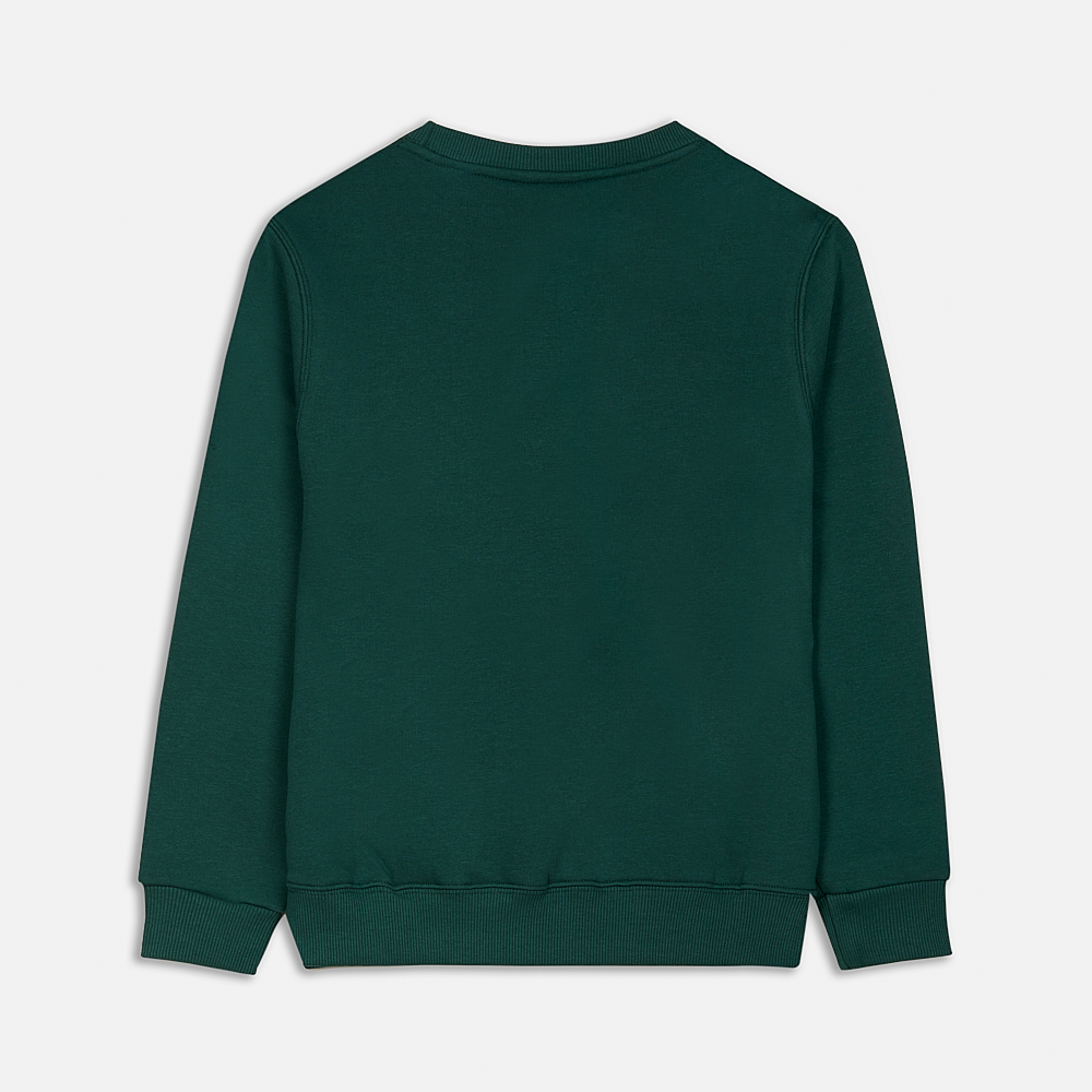 Picture of  Kids'  Sweatshirt Logo Green