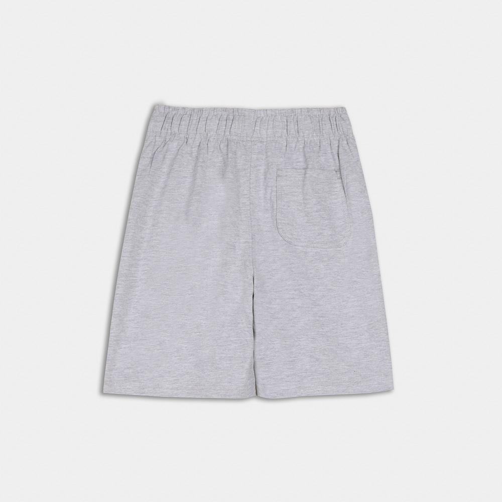 Classic Cotton Shorts | ANTETOKOUNBROS | Grey Back