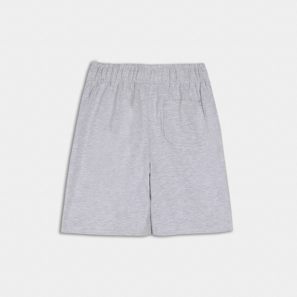 Picture of Antetokounbros Kids Classic Cotton Shorts Grey