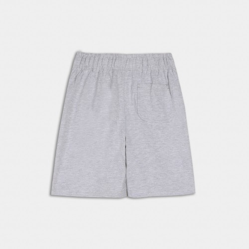 Picture of Antetokounbros Kids Classic Cotton Shorts Grey