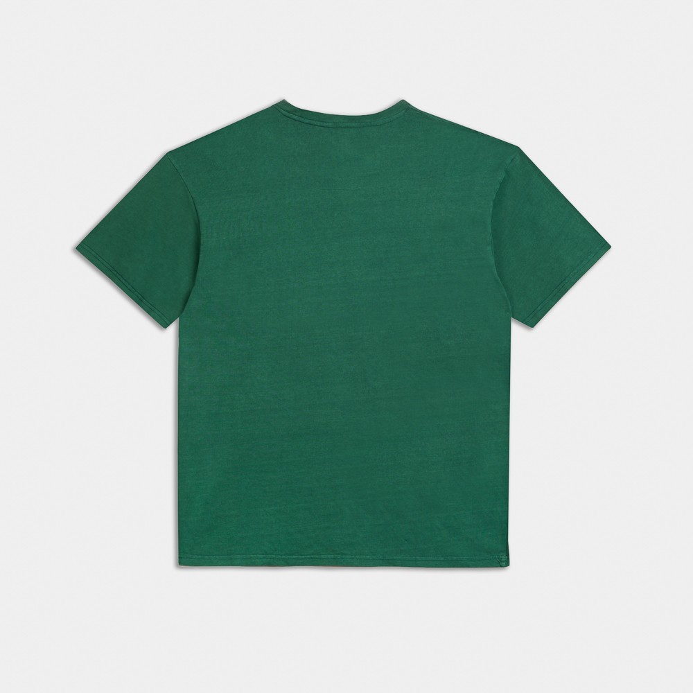 Picture of Antetokounbros  Stone Washed Crewneck T-Shirt Green