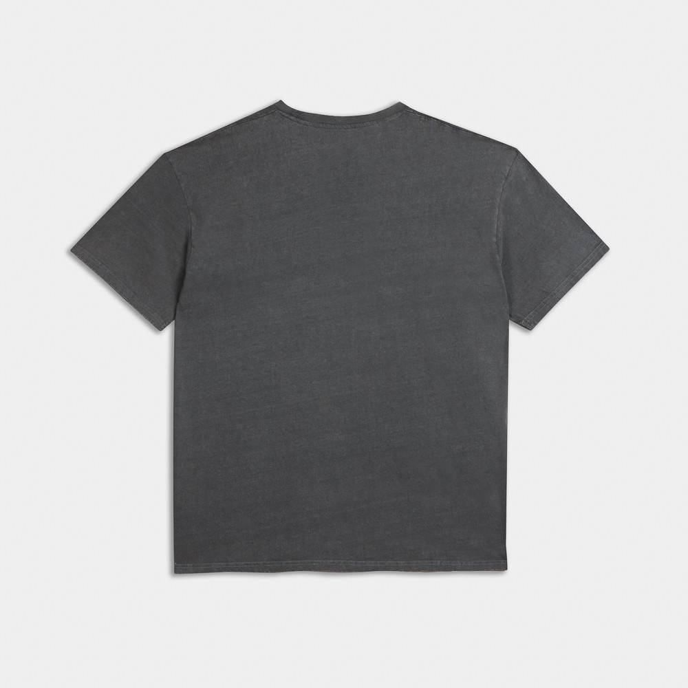 Picture of Antetokounbros  Stone Washed Crewneck T-Shirt  Charcoal