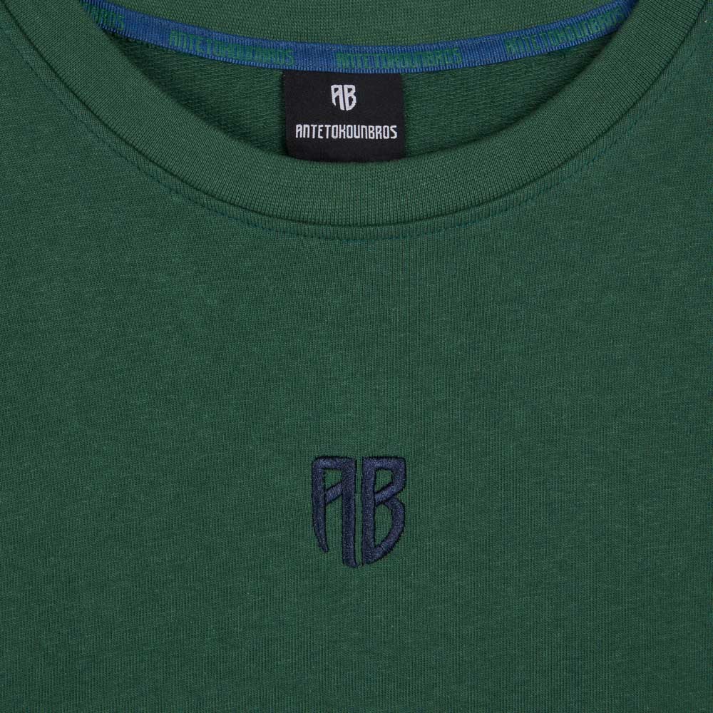 Picture of Antetokounbros Kids French Terry T-Shirt Green 