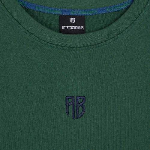Picture of Antetokounbros Kids French Terry T-Shirt Green  thumb