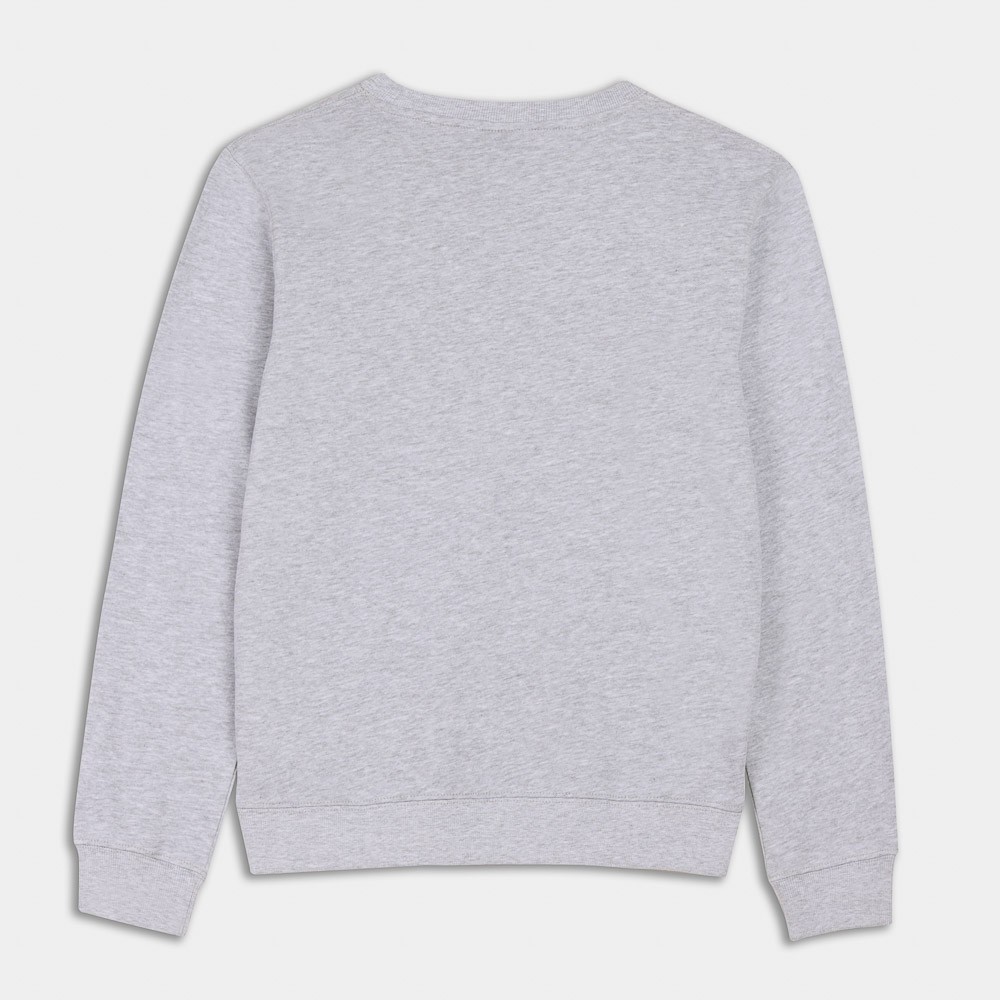 Picture of Antetokounbros Crewneck Sweatshirt Milwaukee Grey