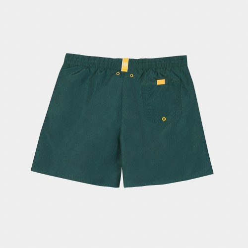Picture of Antetokounbros Men's Swim Shorts Green