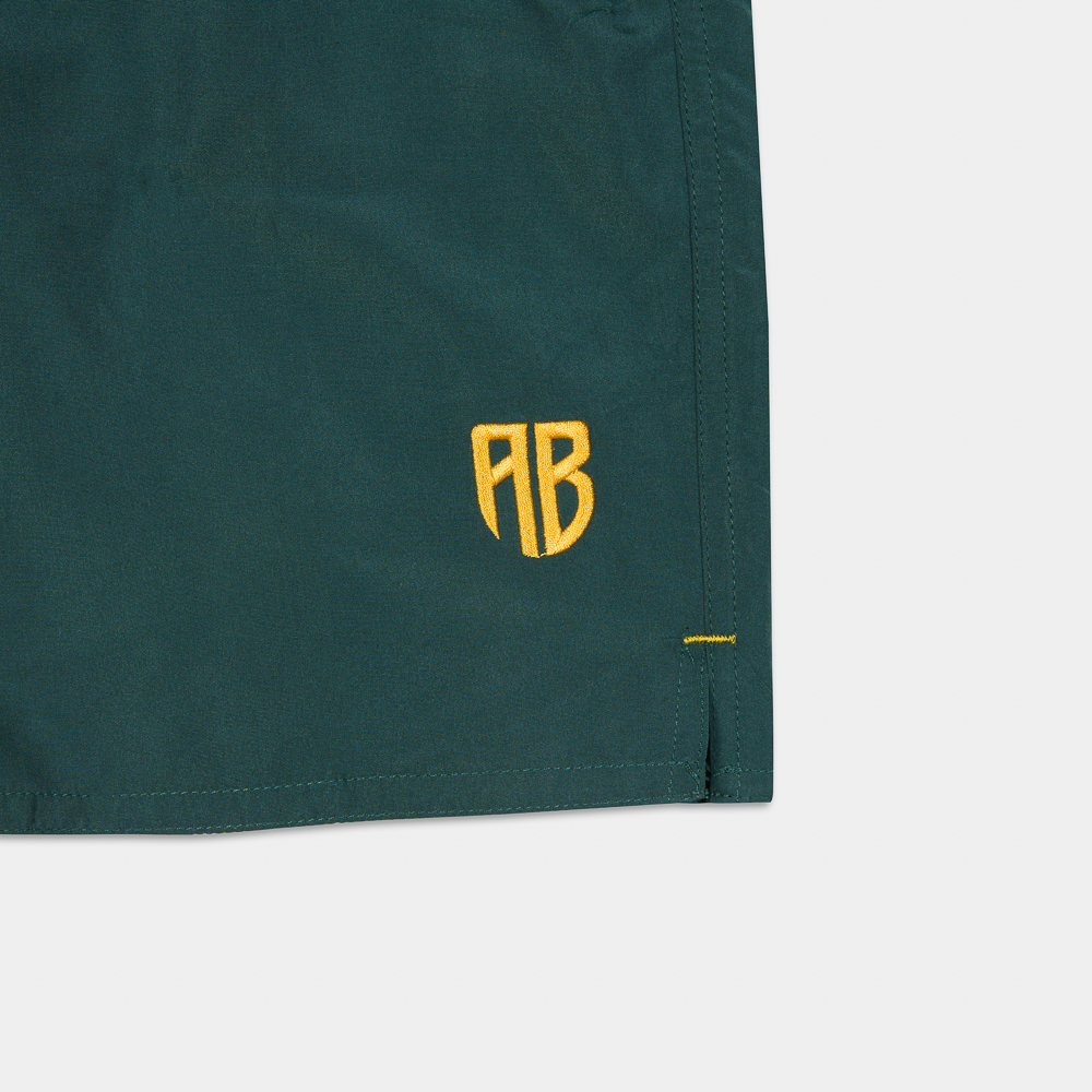 Picture of Antetokounbros Men's Swim Shorts Green