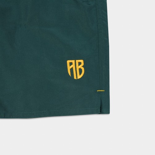 Picture of Antetokounbros Men's Swim Shorts Green thumb