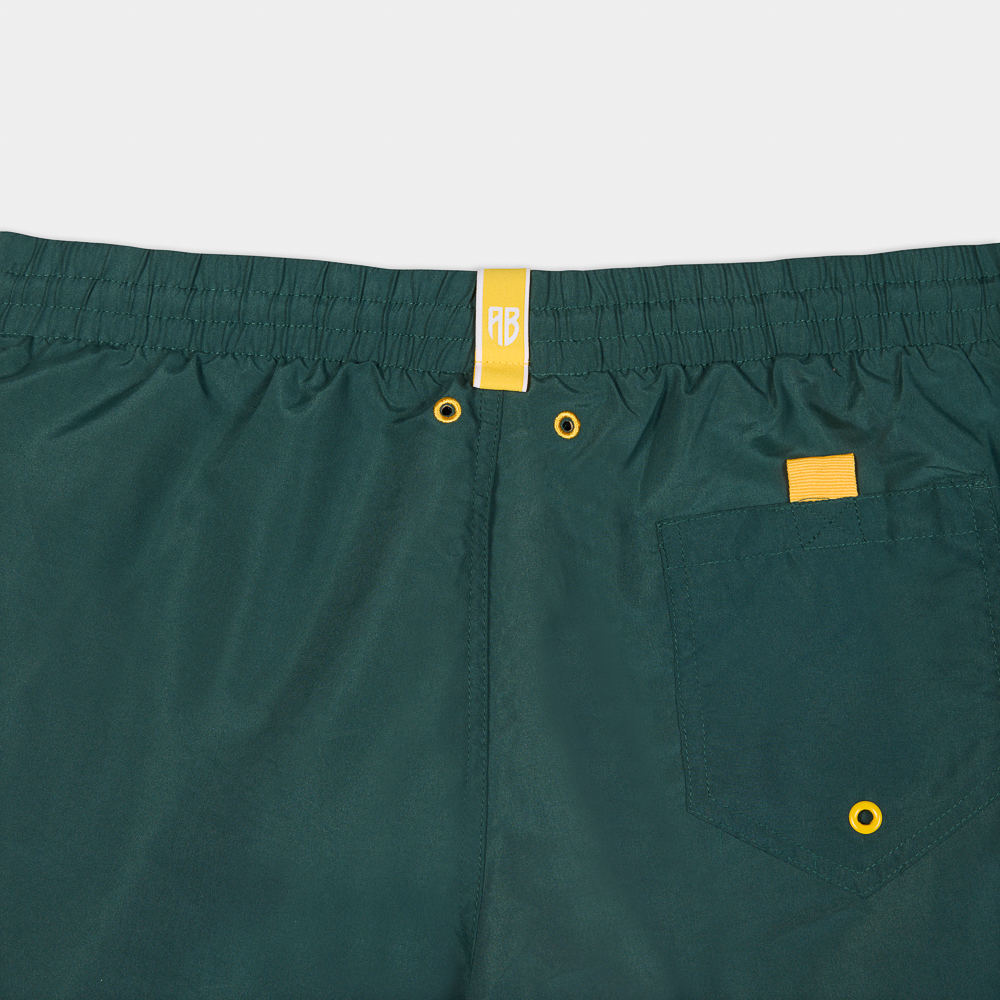 Picture of Antetokounbros Men's Swim Shorts Green