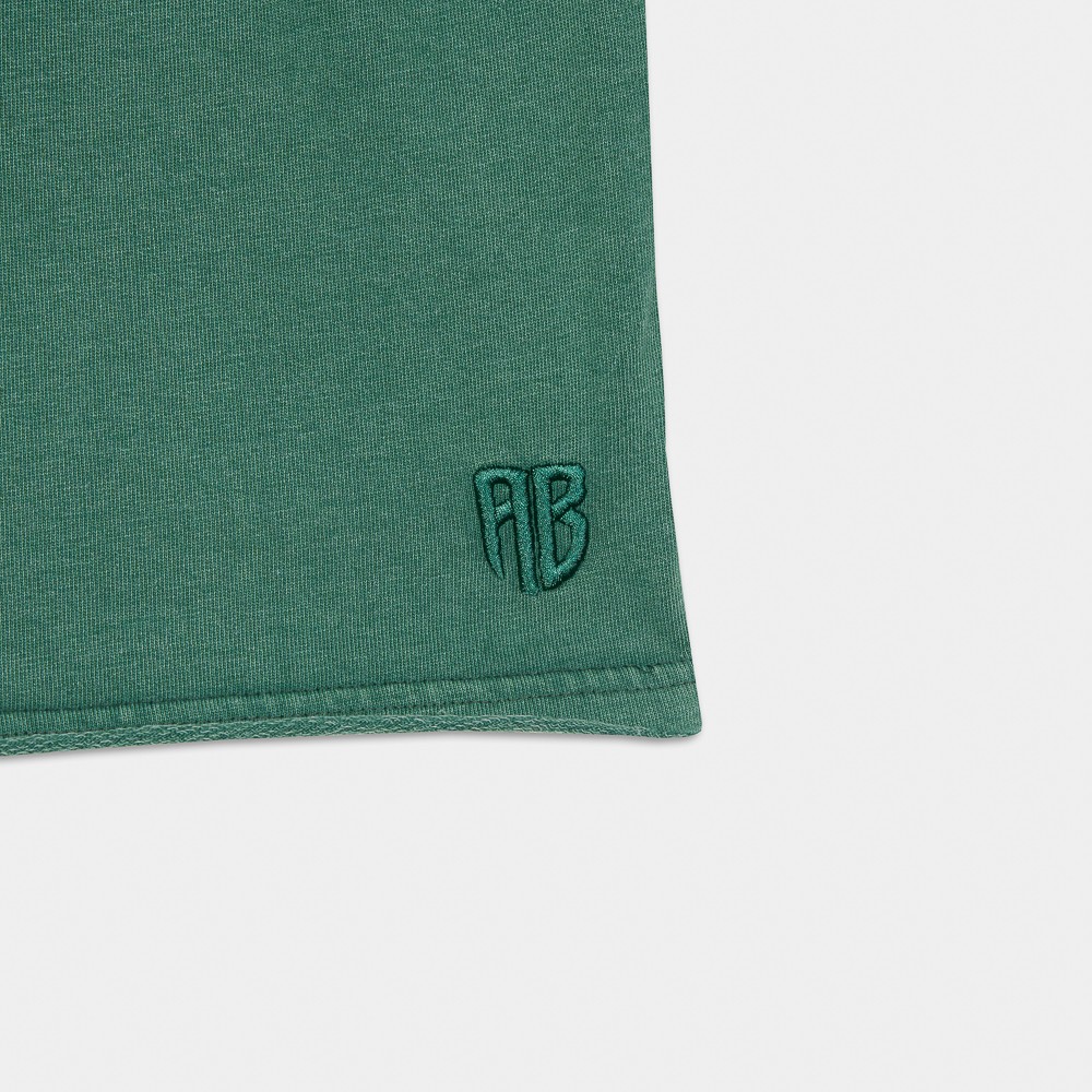 Picture of Antetokounbros Stone Washed Shorts Green