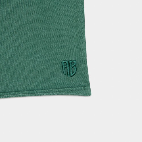 Picture of Antetokounbros Stone Washed Shorts Green thumb