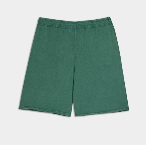 Picture of Antetokounbros Stone Washed Shorts Green