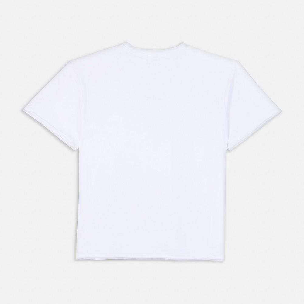 Picture of Antetokounbros French Terry T-Shirt  White
