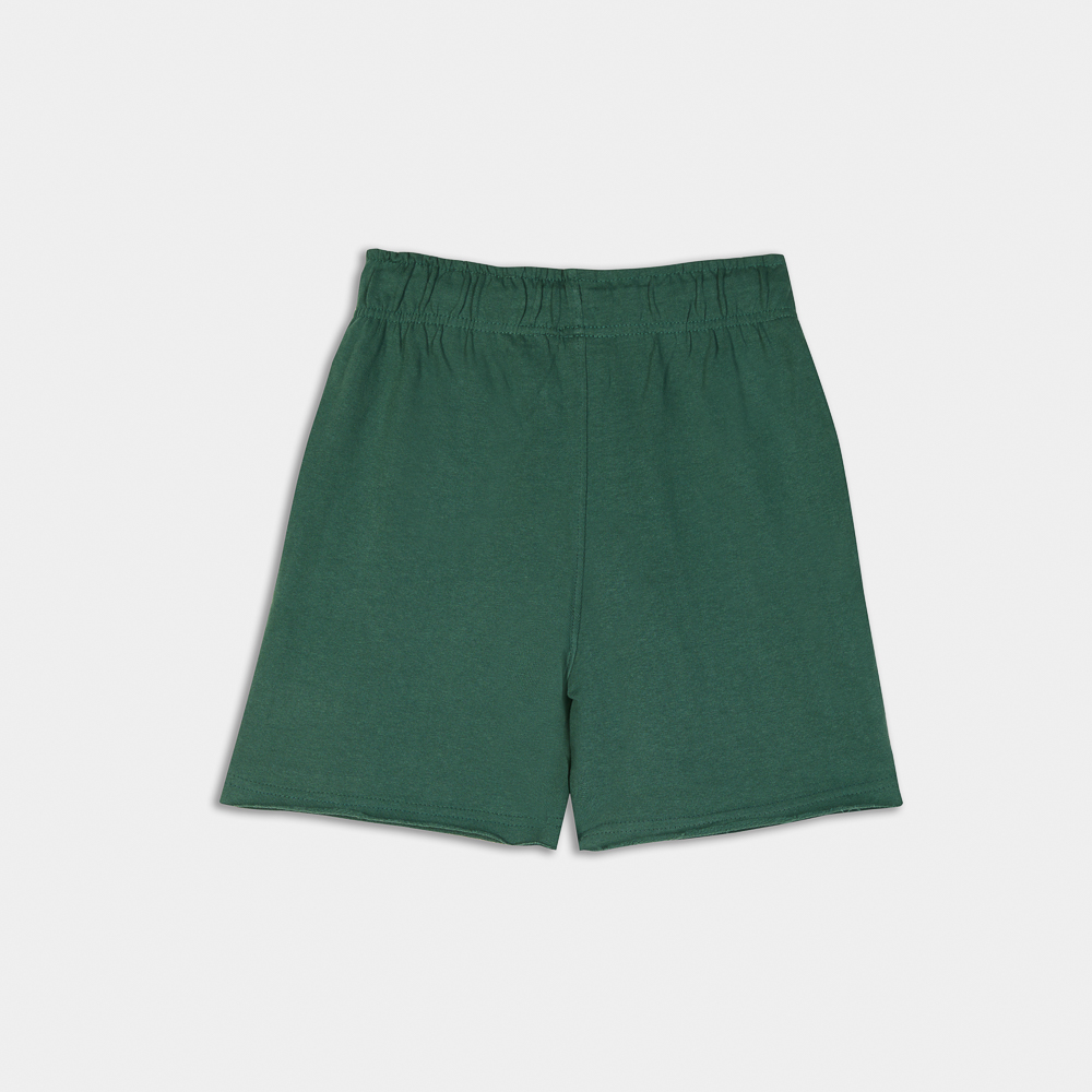 Kids French Terry Shorts| ANTETOKOUNBROS |Green  Back