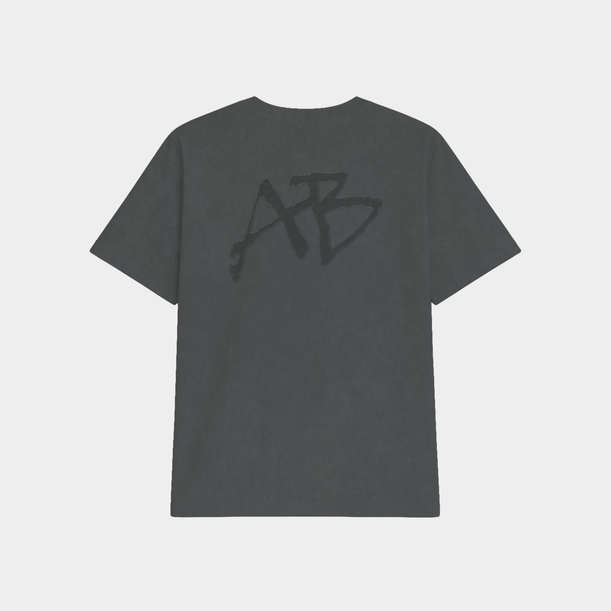 Applique Stonewashed Oversized Tee Carbon Back