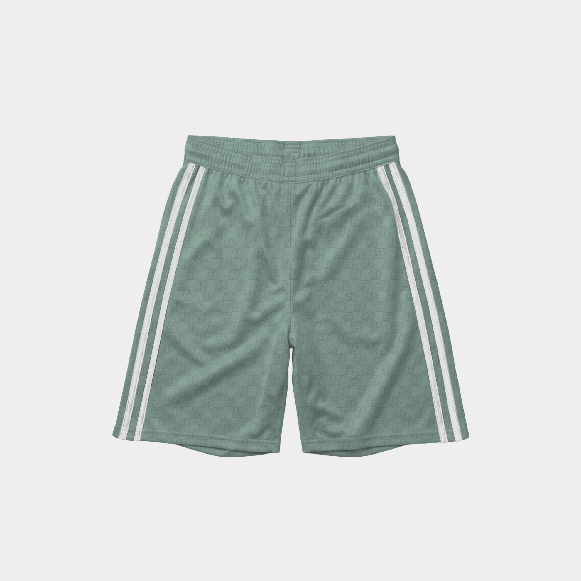 Antetokounbros Men's Basketball Shorts Sage Green Back