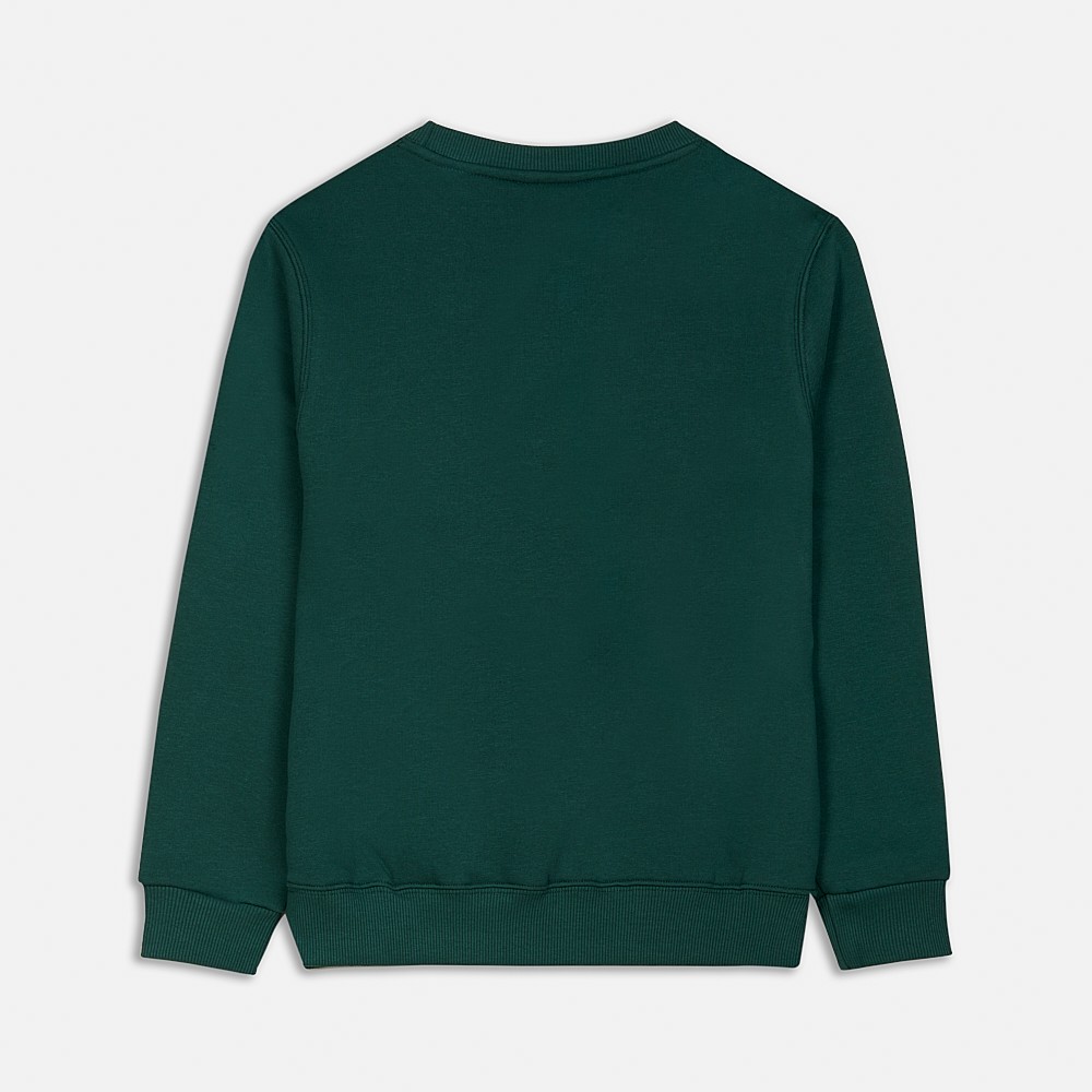 French Terry Sweatshirt Logo Green I ANTETOKOUNBROS