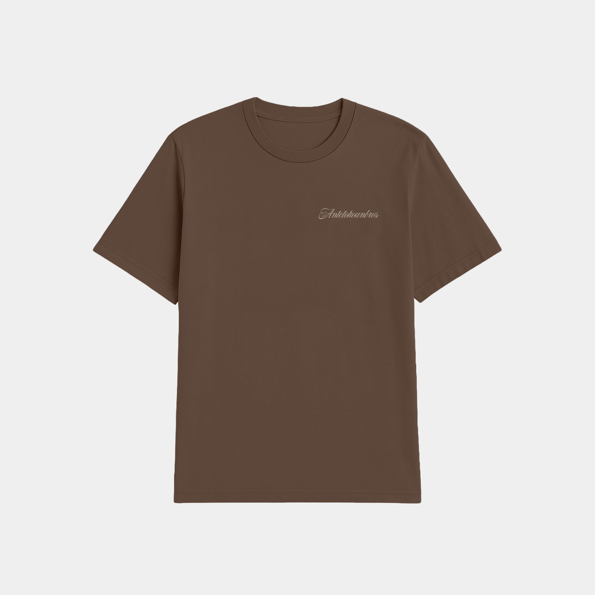 Signature Oversized T-Shirt Steel Brown Front