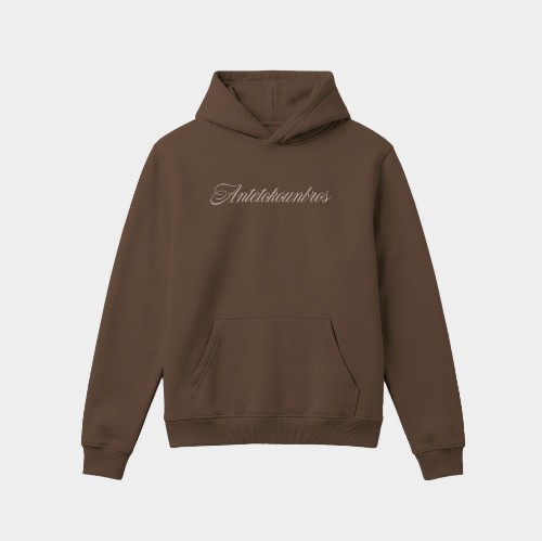  Signature Stonewashed Hoodie  Steel Brown  Front